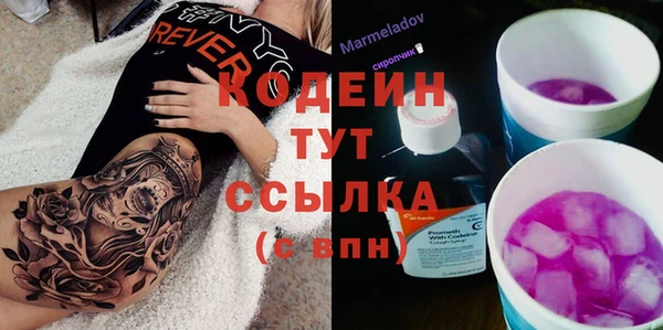 экстази Няндома