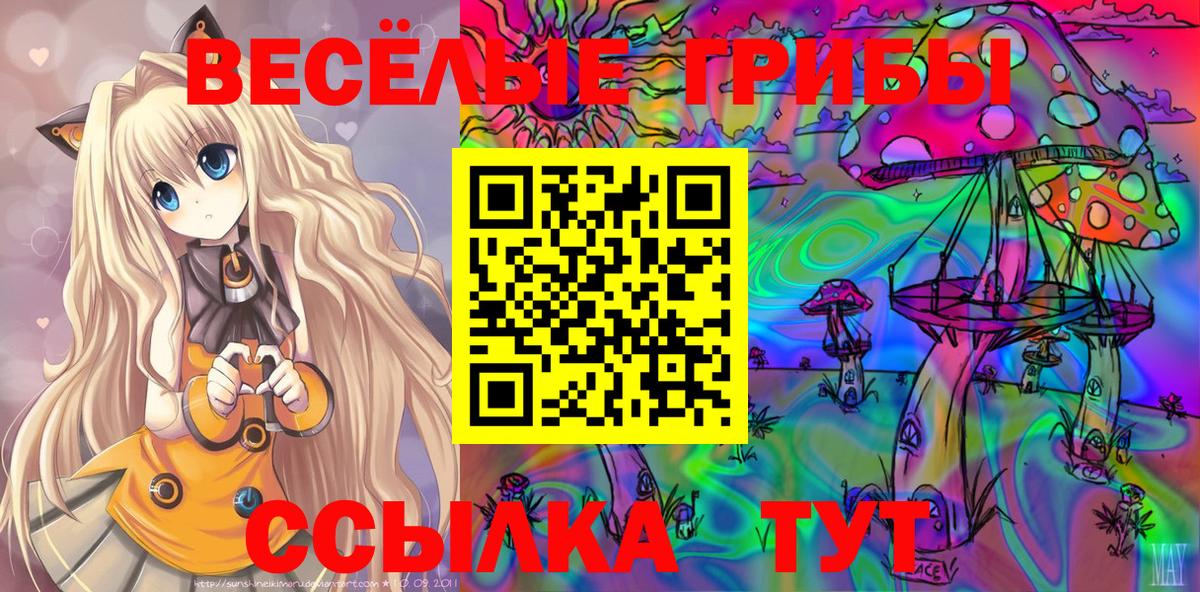 Псилоцибиновые грибы MAGIC MUSHROOMS  дарнет шоп  Новочеркасск  Вход с VPN  Галлюциногенные грибы прущие грибы 